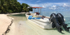 Excursions aquatiques en bateau Panga en fibre de verre de 32 pieds