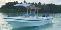 Excursions aquatiques en bateau Panga en fibre de verre de 32 pieds