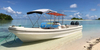 Excursions aquatiques en bateau Panga en fibre de verre de 32 pieds