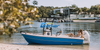 Utilisation commerciale de bateau de pêche en fibre de verre de 17 pieds