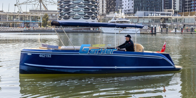 Voyages familiaux modernes de bateau de loisirs en aluminium de 22FT